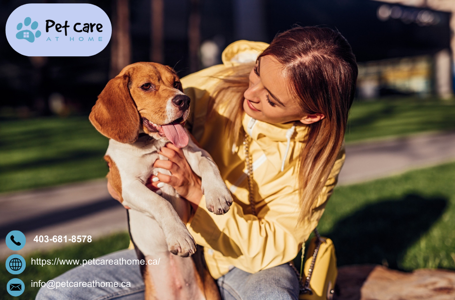 Compassionate guidance for pet euthanasia in Calgary Compassionate guidance for pet euthanasia in Calgary