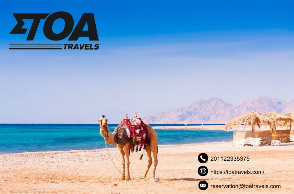 Reliable Private transfers from Cairo Airport to Your Destination Reliable Private transfers from Cairo Airport to Your Destination