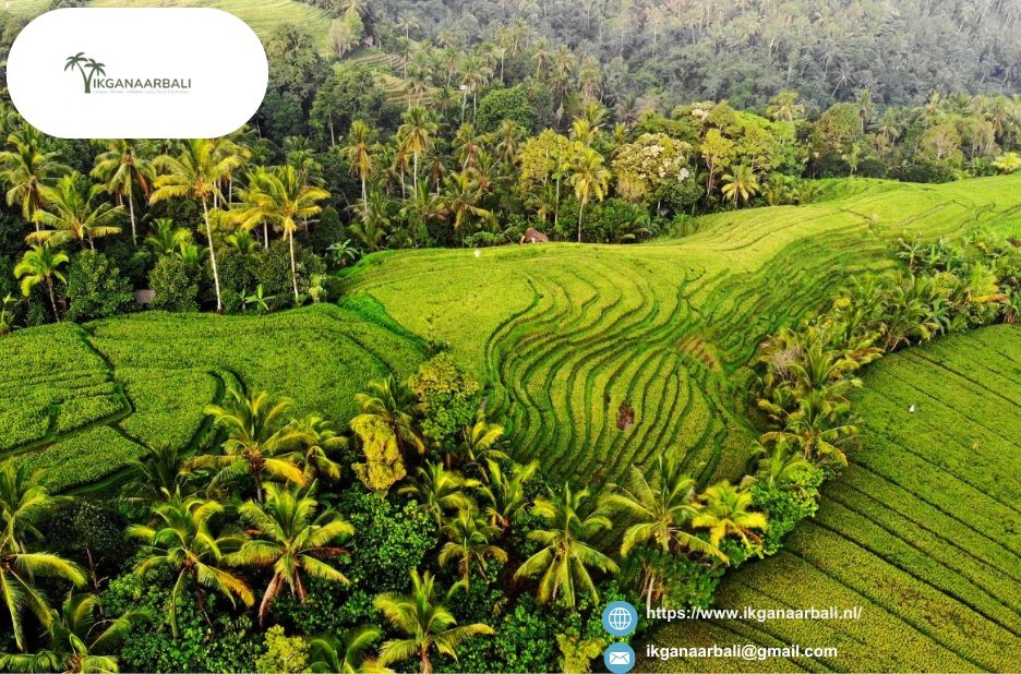 Experience a Sunrise Adventure on Mount Batur Experience a Sunrise Adventure on Mount Batur