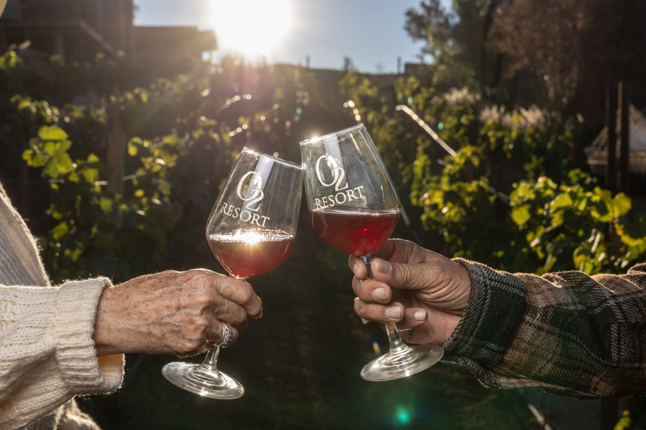 Experience the Charm of Valle de Guadalupe’s Boutique Stays Experience the Charm of Valle de Guadalupe’s Boutique Stays