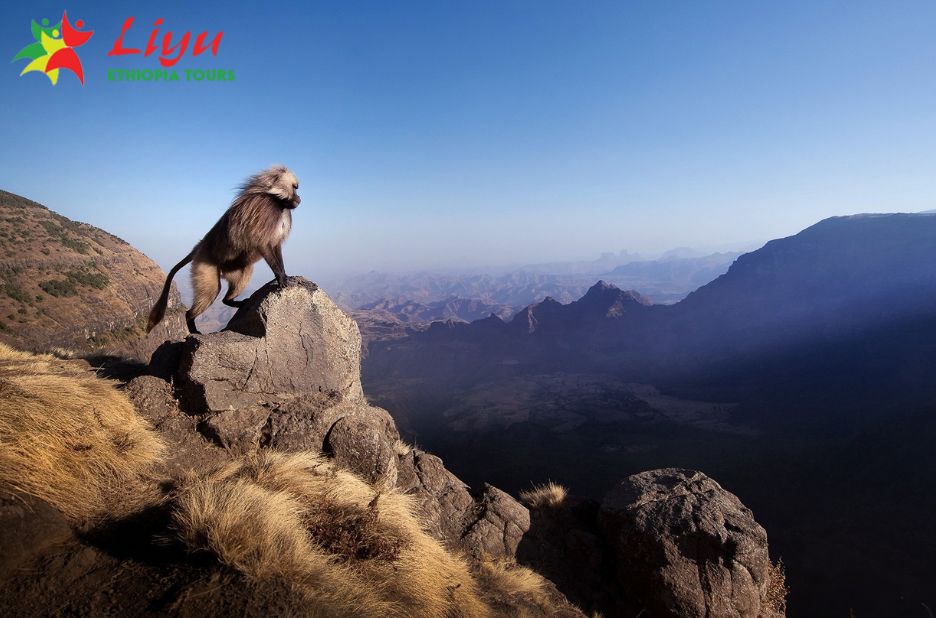 Exclusive Ethiopian Journeys: Private Guided Tours for You Exclusive Ethiopian Journeys: Private Guided Tours for You