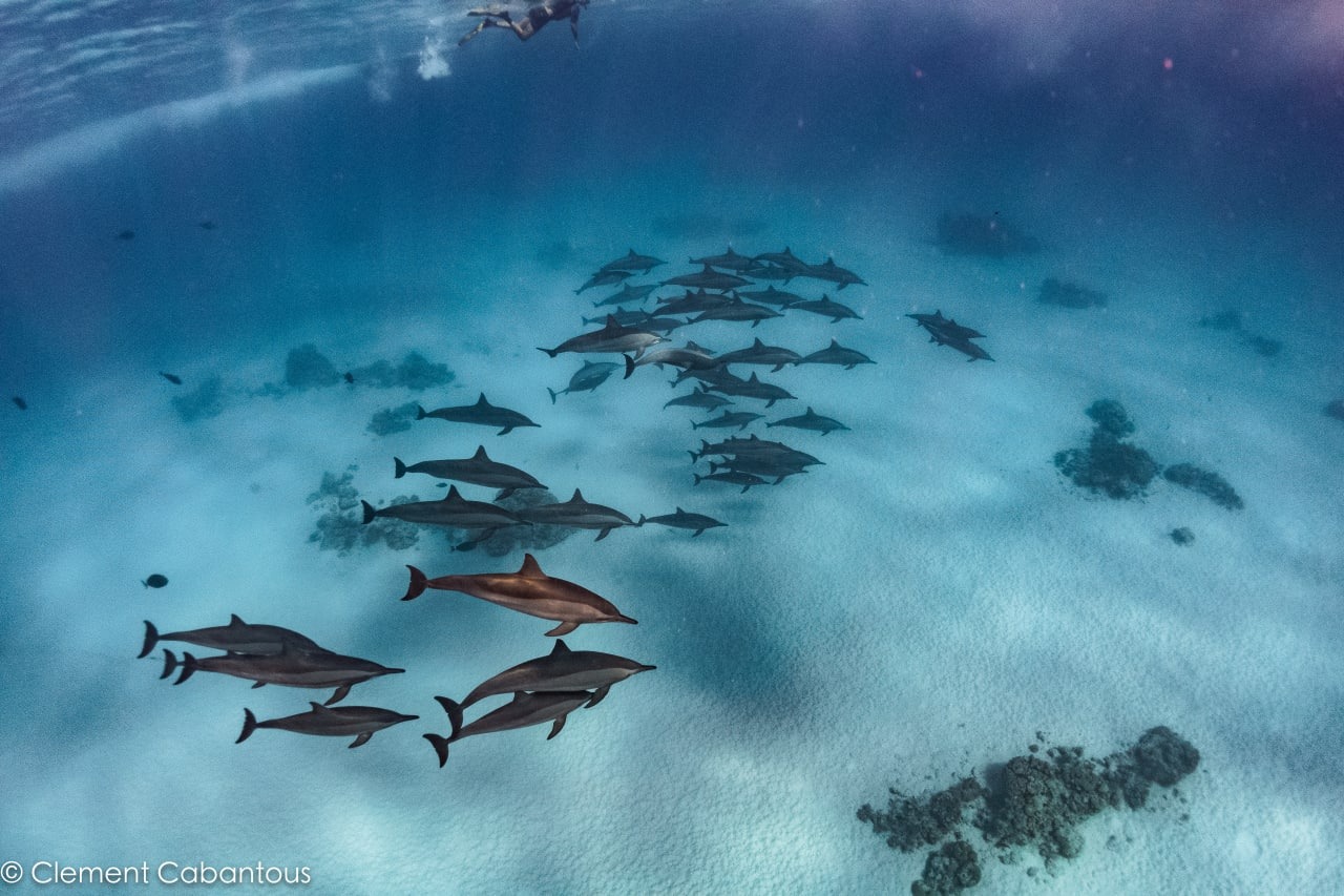Sun‑soaked Red Sea escapes from Egypt: a coast‑lines adventure Sun‑soaked Red Sea escapes from Egypt: a coast‑lines adventure