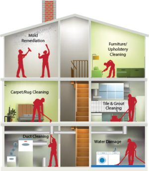 Reliable Dryer Vent Cleaning for safer homes Reliable Dryer Vent Cleaning for safer homes