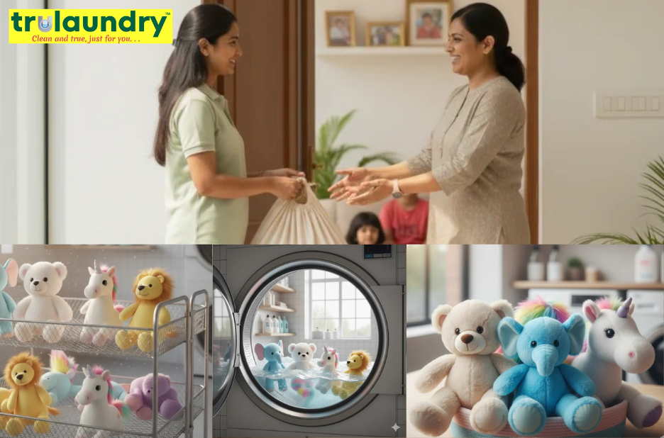 Top Pick for Cleaning Needs in Bangalore Top Pick for Cleaning Needs in Bangalore