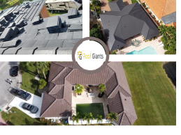 Trustworthy Wellington Roof Repairs and Maintenance Trustworthy Wellington Roof Repairs and Maintenance