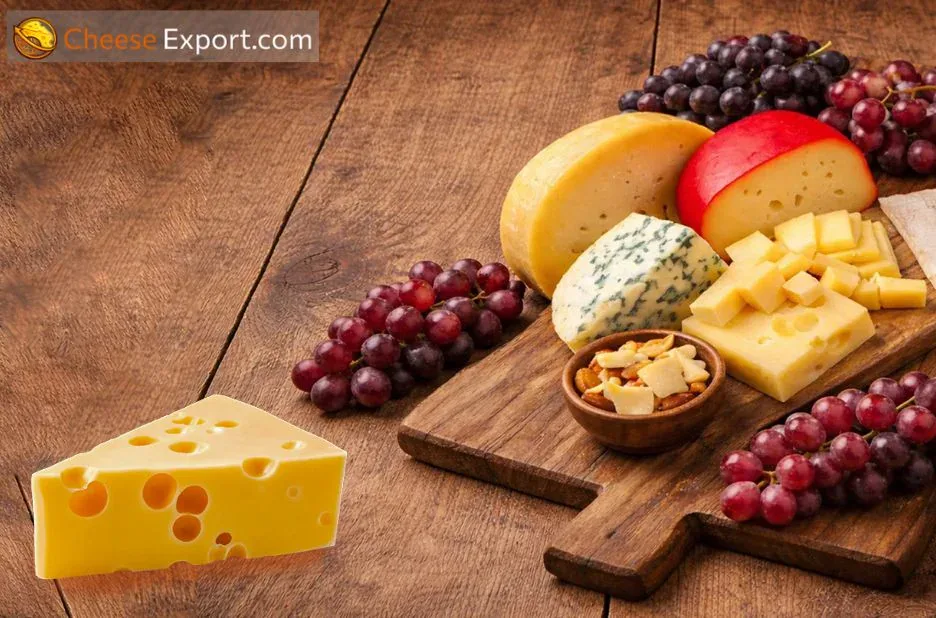 Top Mozzarella Cheese Exporters for Reliable Global Dairy Supply and Secure Logistics Top Mozzarella Cheese Exporters for Reliable Global Dairy Supply and Secure Logistics