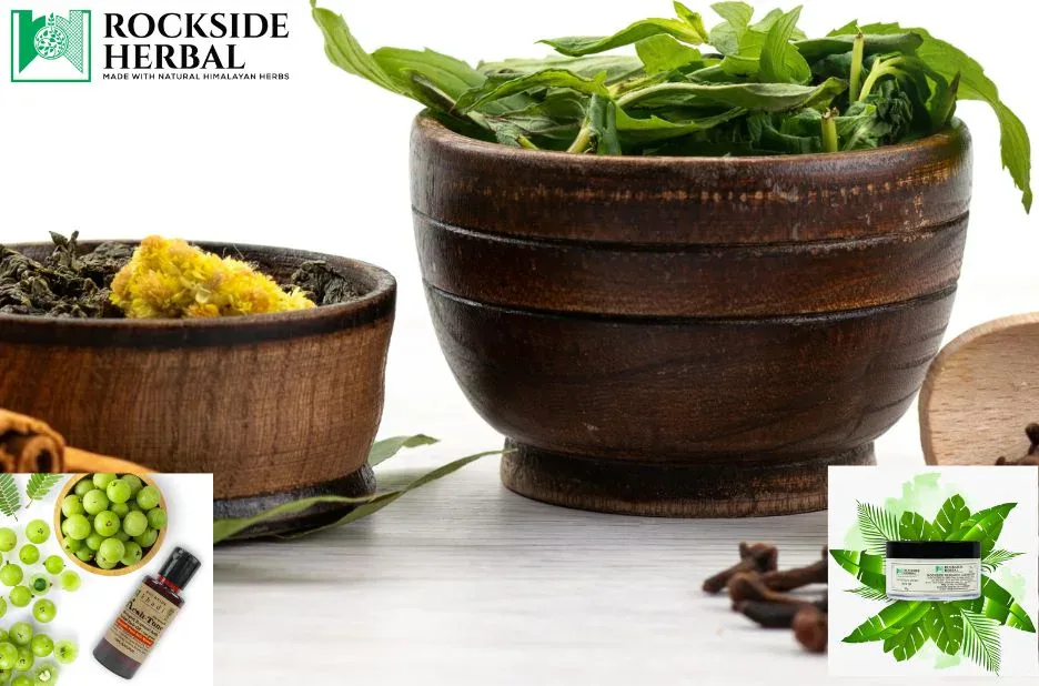 Herbal Heena Benefits for Vibrant, Nourished Hair | RocksideHerbal.com Herbal Heena Benefits for Vibrant, Nourished Hair | RocksideHerbal.com
