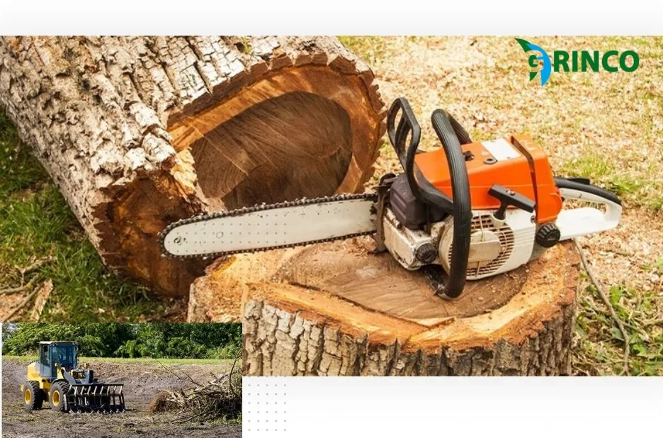 Professional Tree Removal Deer Park Services for Safe and Efficient Property Care Professional Tree Removal Deer Park Services for Safe and Efficient Property Care