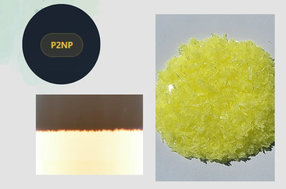 Expand Your Business Reach with Reliable P2np Europe Procurement Solutions Expand Your Business Reach with Reliable P2np Europe Procurement Solutions