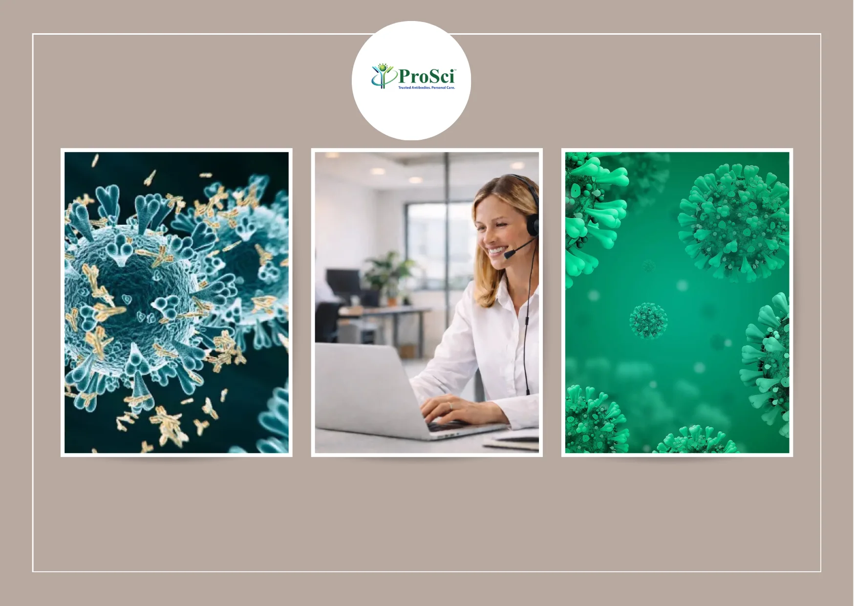 Optimize Your Assays with High-Quality Elisa Antibody Pairs for Accurate Detection Optimize Your Assays with High-Quality Elisa Antibody Pairs for Accurate Detection