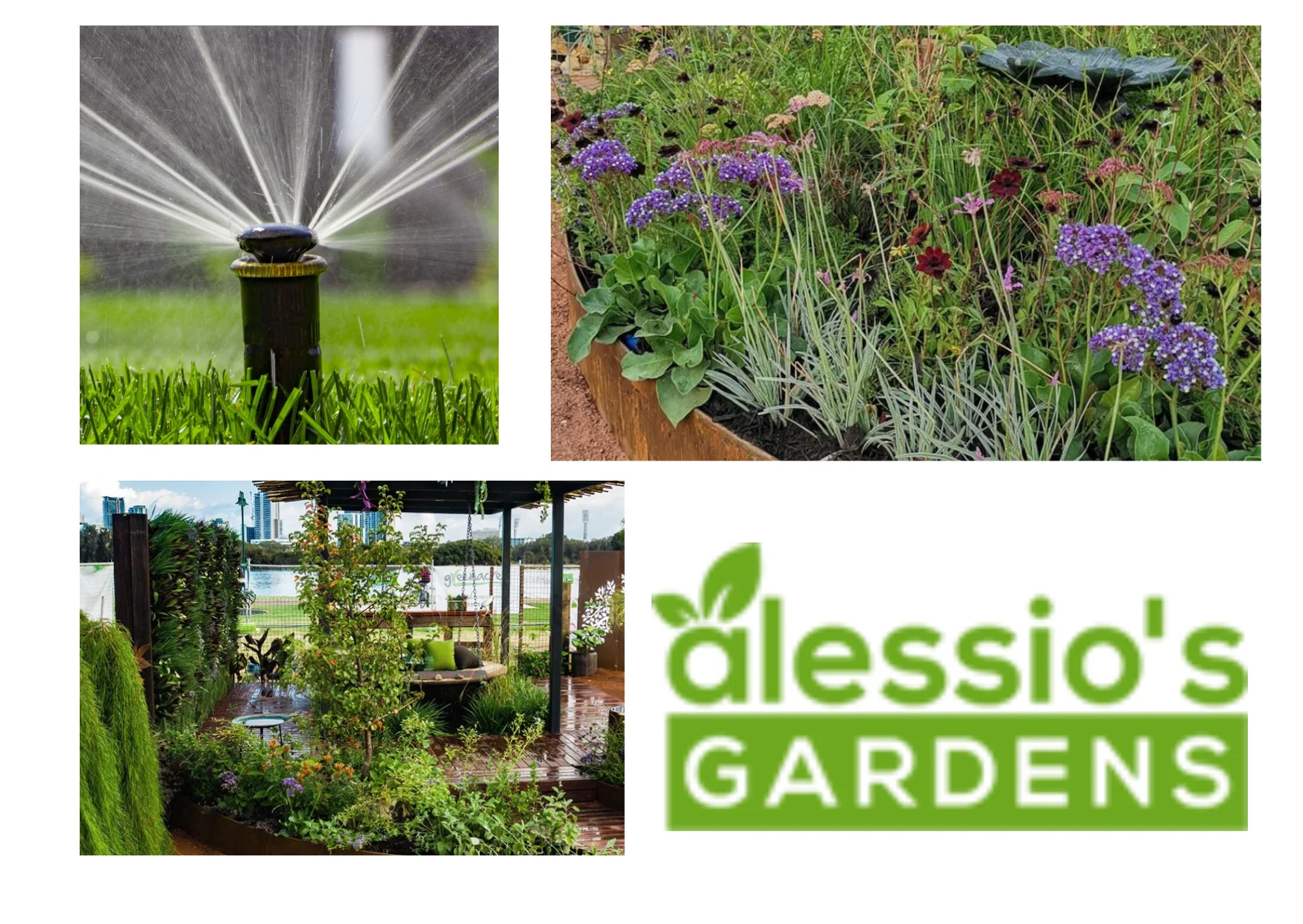 Best Suitable Plants Around Pools for Beautiful and Low-Maintenance Landscaping Best Suitable Plants Around Pools for Beautiful and Low-Maintenance Landscaping