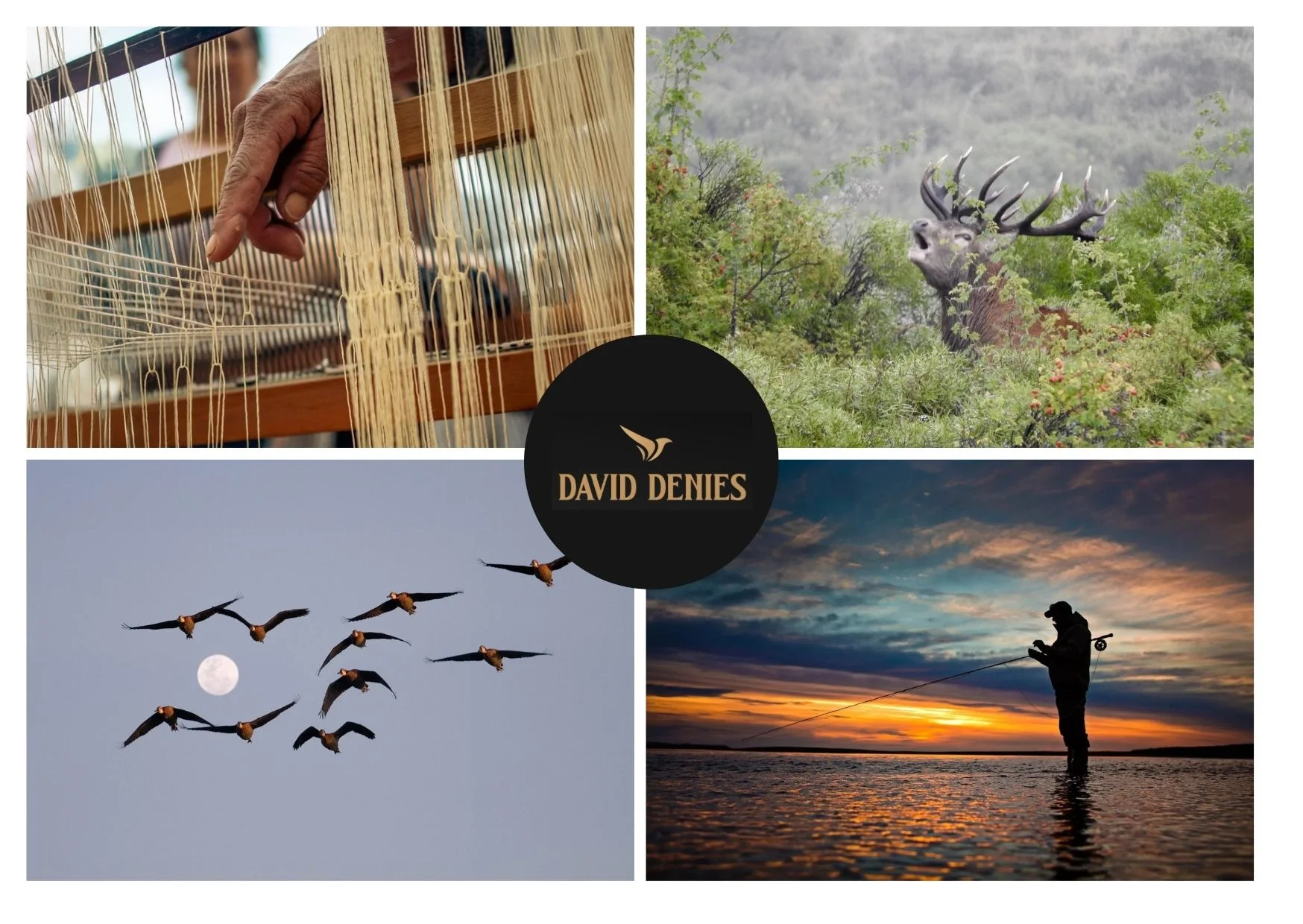 Ultimate Guide to the Best Dove Shooting in Argentina for Exceptional Hunting Experiences Ultimate Guide to the Best Dove Shooting in Argentina for Exceptional Hunting Experiences