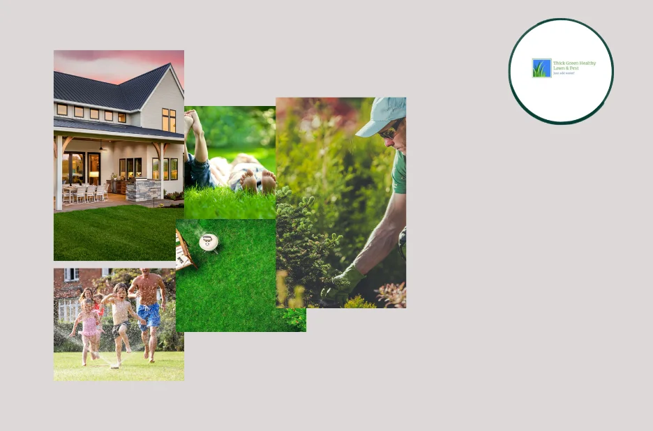 Top Expert Lawn Care Services in Converse TX for a Healthy, Vibrant Yard Top Expert Lawn Care Services in Converse TX for a Healthy, Vibrant Yard