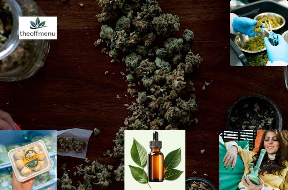 Magic Mushroom Specialty Stores in Canada: Curated Online Collection Checklist Magic Mushroom Specialty Stores in Canada: Curated Online Collection Checklist