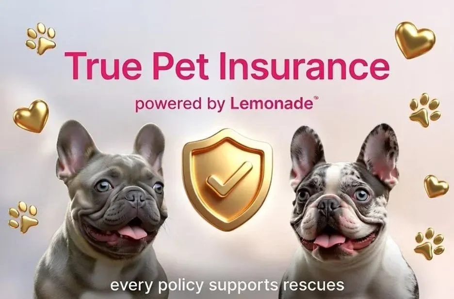 True Panion Pet Insurance: Expert Recommendations for Coverage and Care True Panion Pet Insurance: Expert Recommendations for Coverage and Care