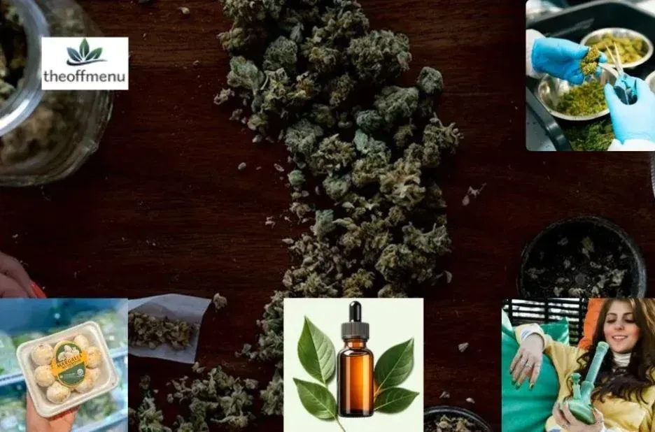 Buy Marijuana Canada: Safe, Informative Resources at Theoffmenu.co Buy Marijuana Canada: Safe, Informative Resources at Theoffmenu.co