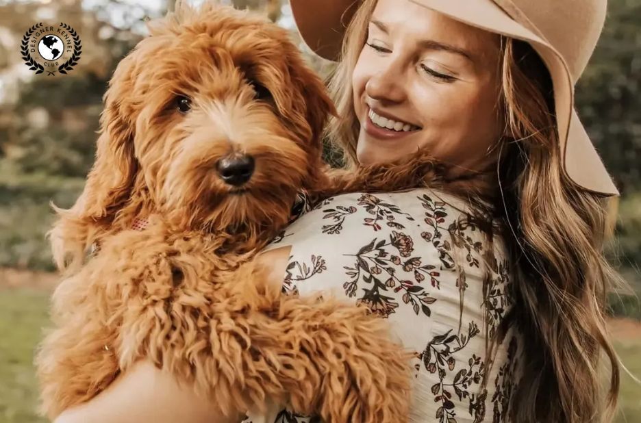 How to Get Dog Papers Without Paperwork Online: Designer Kennel Club Guide How to Get Dog Papers Without Paperwork Online: Designer Kennel Club Guide