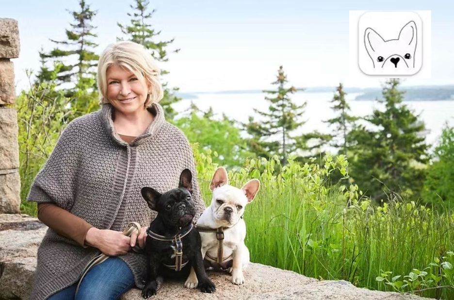 How to Obtain Dog Registration Papers Without Papers: Local Steps Explained How to Obtain Dog Registration Papers Without Papers: Local Steps Explained