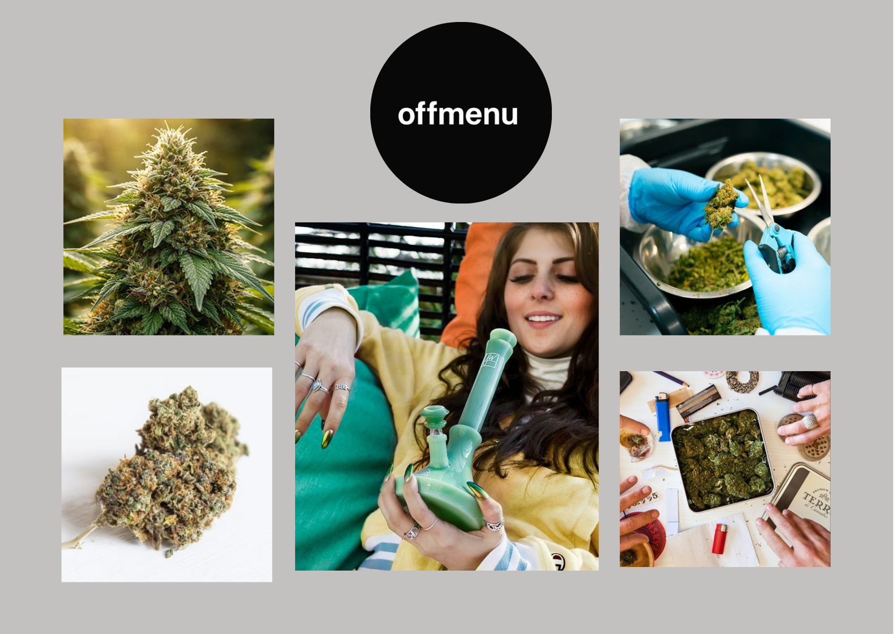 Curated CBD Wellness Picks with Local Canadian Touch Curated CBD Wellness Picks with Local Canadian Touch