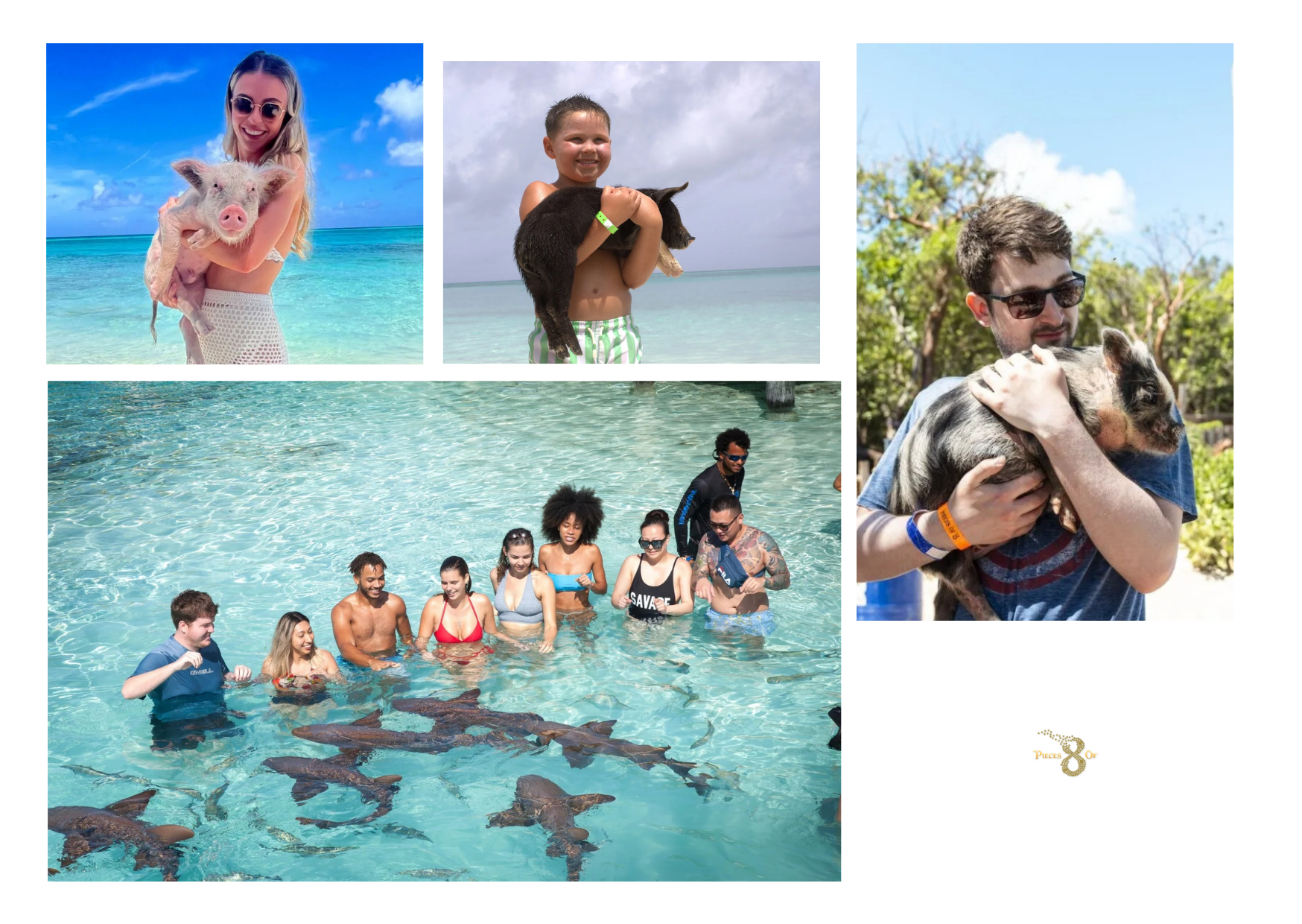 Private Boat Tours in Nassau, Bahamas Checklist for a Perfect Charter by Piecesof8tours.com Private Boat Tours in Nassau, Bahamas Checklist for a Perfect Charter by Piecesof8tours.com